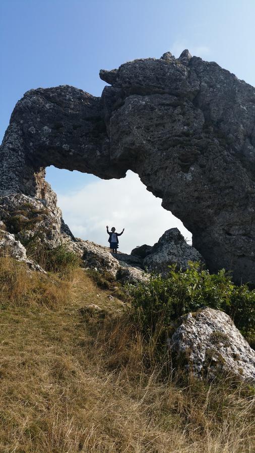 Le Relais Des Ecrins Hotel Saint-Christophe-en-Oisans Luaran gambar
