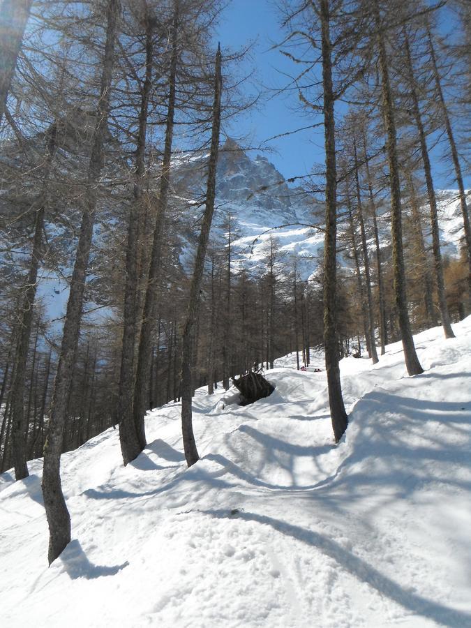 Le Relais Des Ecrins Hotel Saint-Christophe-en-Oisans Luaran gambar